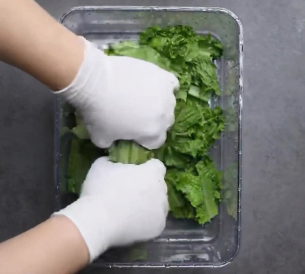 Manos con guantes troceando hojas de lechuga verde fresca en un recipiente transparente.
