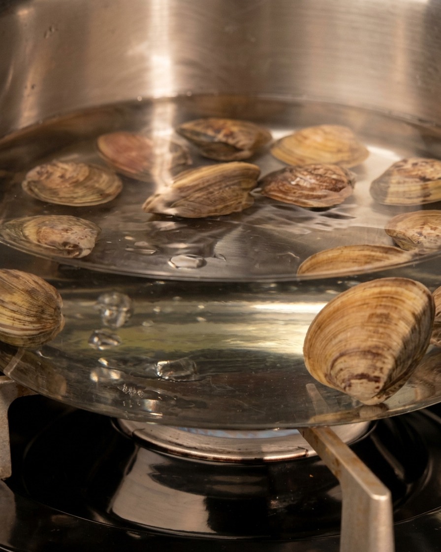 Almejas frescas con sus conchas cerradas, sumergiéndose y cocinándose en una olla de agua hirviendo sobre una estufa de gas.