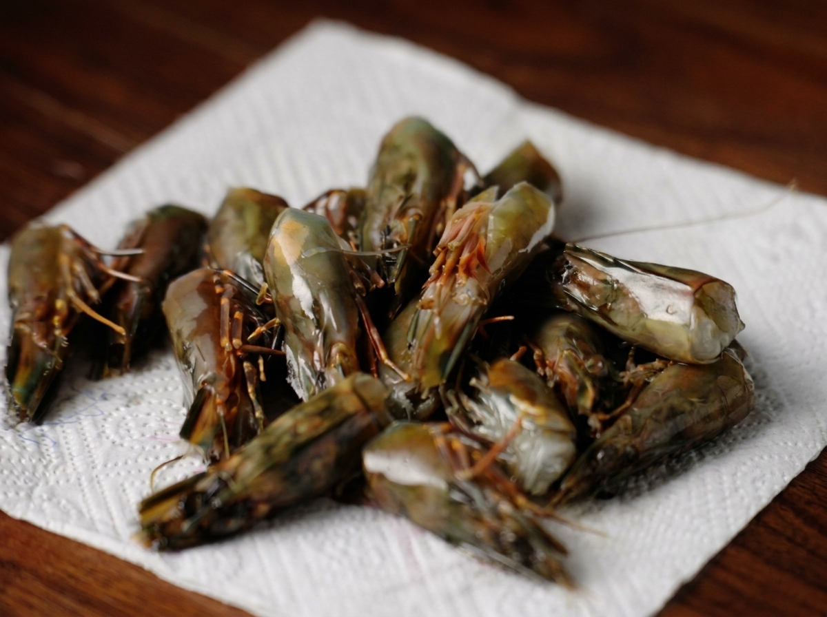 Cabezas de gambas crudas sobre papel de cocina blanco para absorber la humedad.