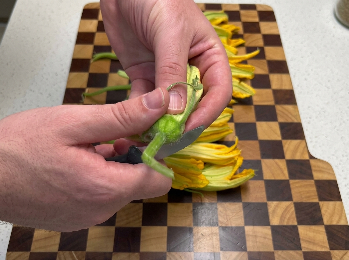 Manos usando un cuchillo pequeño para quitar el tallo de una flor de calabaza amarilla fresca.