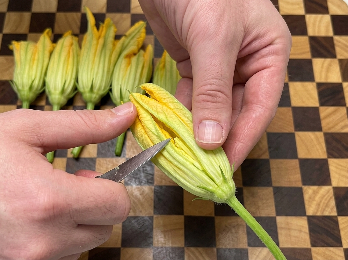 Manos sosteniendo una flor de calabaza y haciendo un corte longitudinal para abrirla.