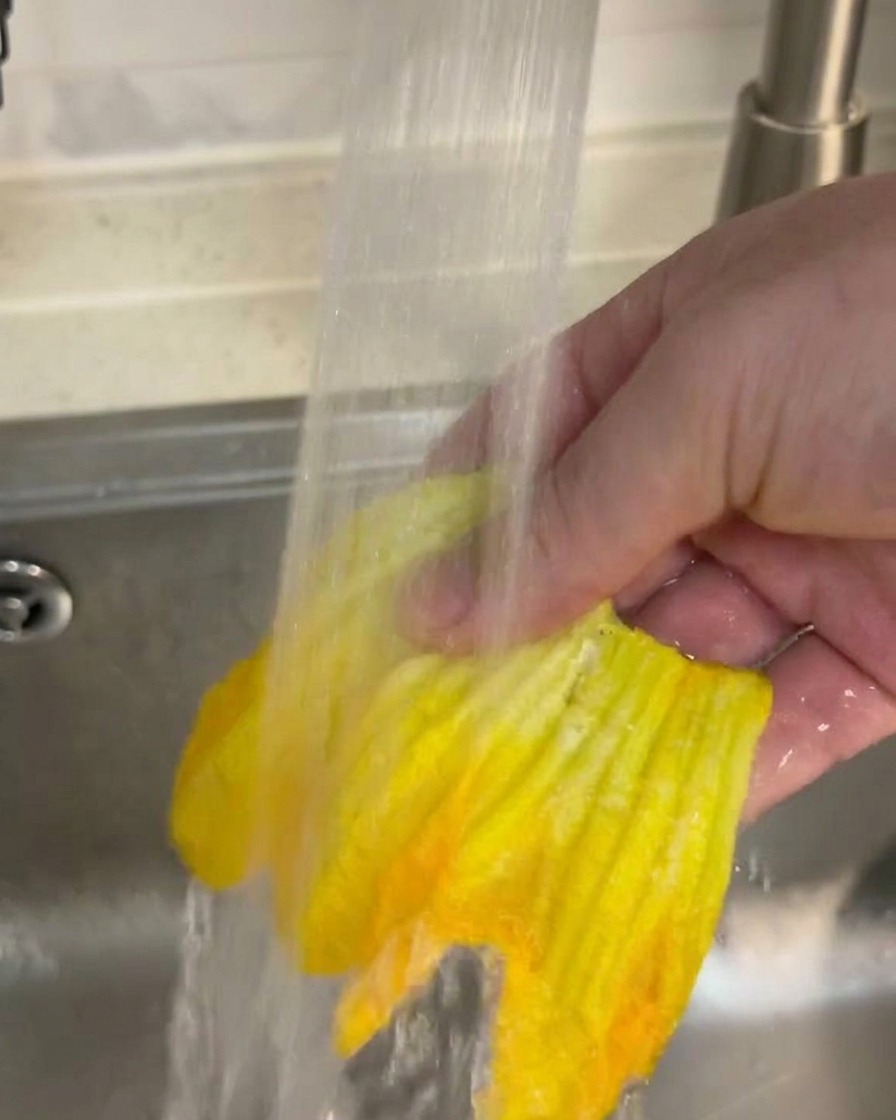 Una mano sosteniendo una flor de calabaza bajo un chorro de agua suave en el fregadero.