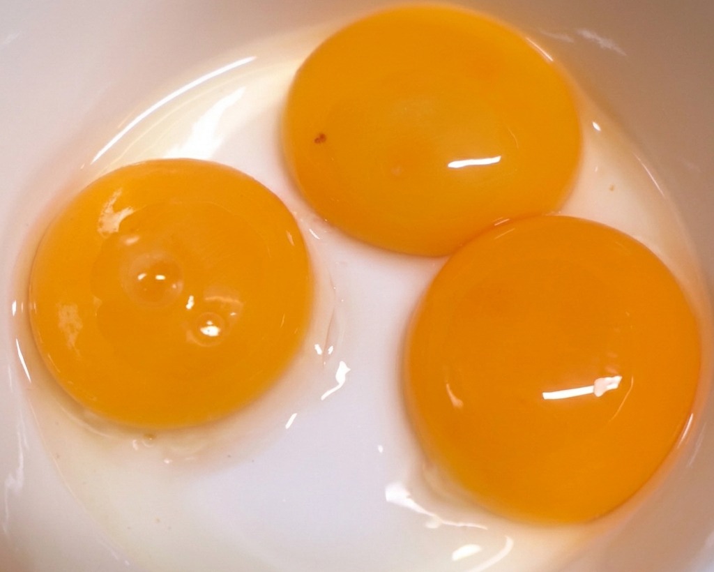 Tres yemas de huevo de color naranja intenso en un tazón de cerámica blanca limpia, listas para la preparación.