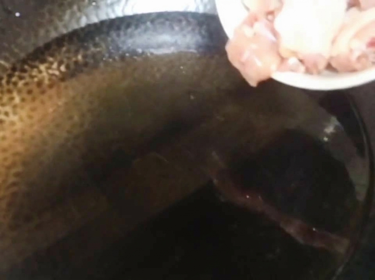 Trozos de pollo crudo siendo vertidos desde un plato blanco en un wok lleno de agua fría.