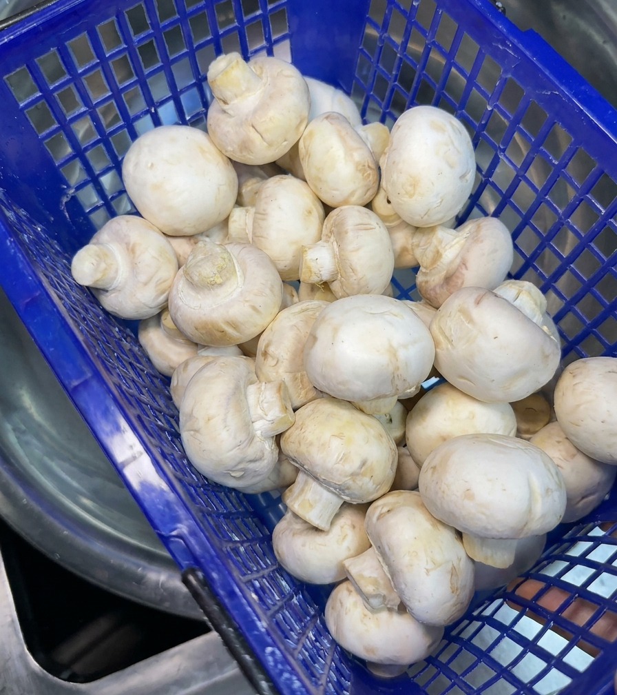 Un cestillo de plástico azul lleno de champiñones frescos enteros listos para ser lavados.