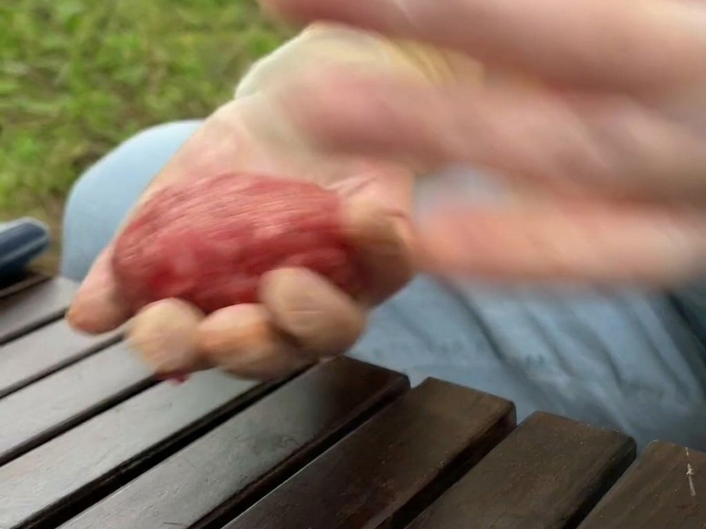 Una toma en movimiento de manos con guantes lanzando y golpeando una bola de carne molida sazonada.