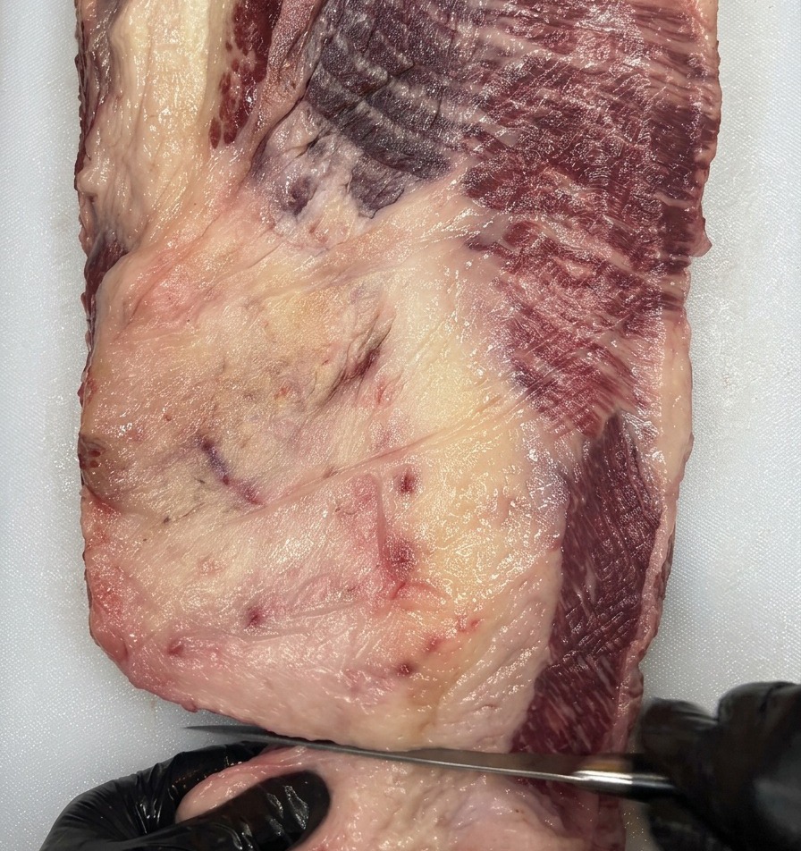 Primer plano de manos con guantes negros usando un cuchillo de deshuesar afilado para recortar la grasa blanca de un brisket de Wagyu crudo sobre una tabla de cortar blanca.