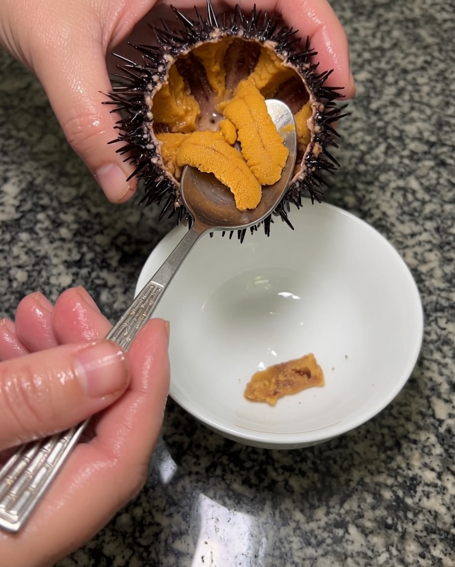 Una cuchara de metal raspando y levantando con cuidado trozos enteros y limpios de uni anaranjado de su caparazón hacia un tazón de cerámica.