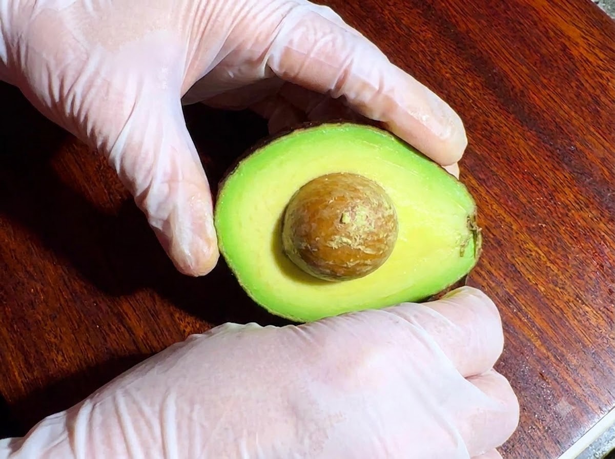 Un aguacate cortado por la mitad mostrando el hueso, sostenido por manos con guantes sobre una tabla de cortar.