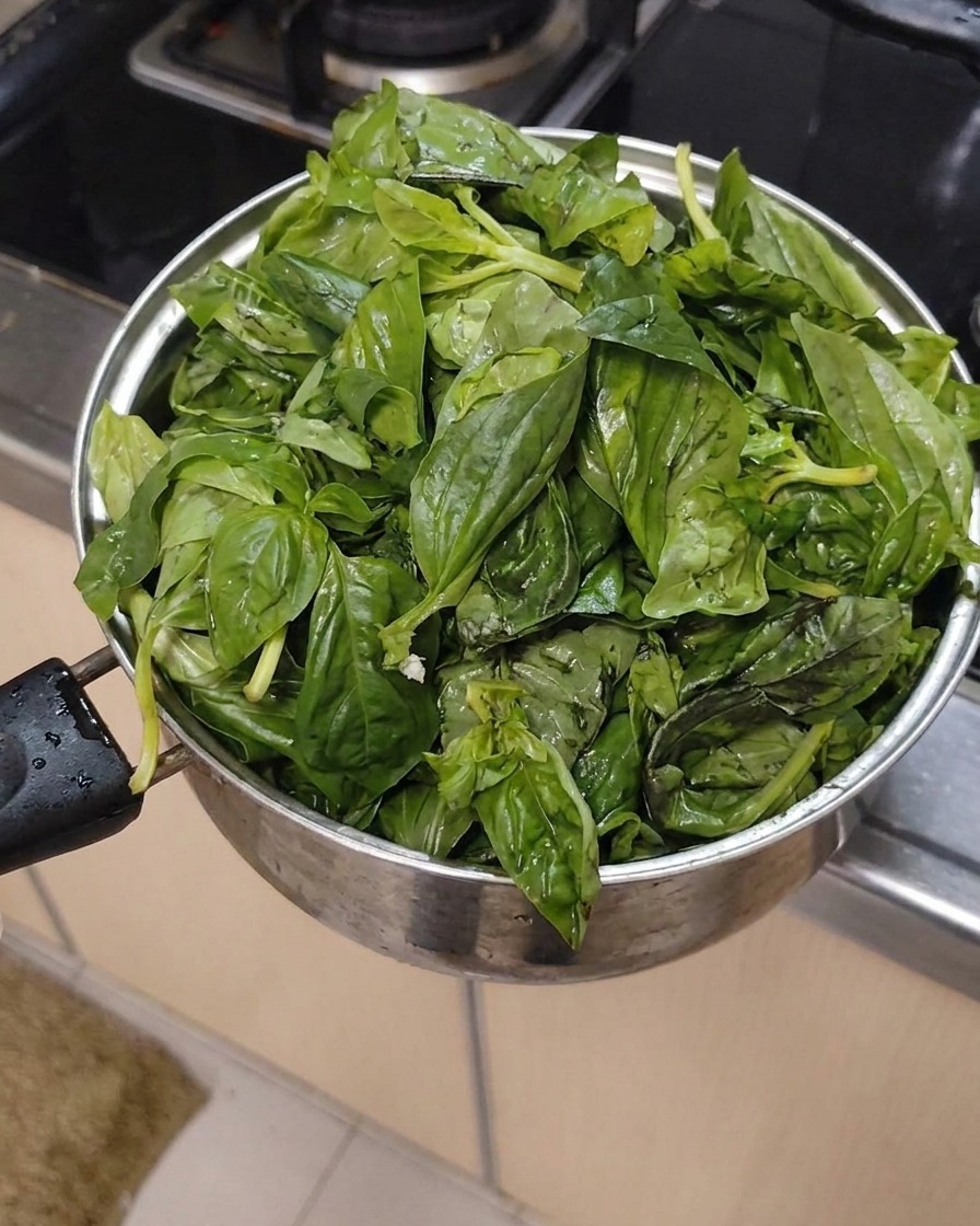 Hojas de albahaca frescas y limpias reunidas en una olla de metal.