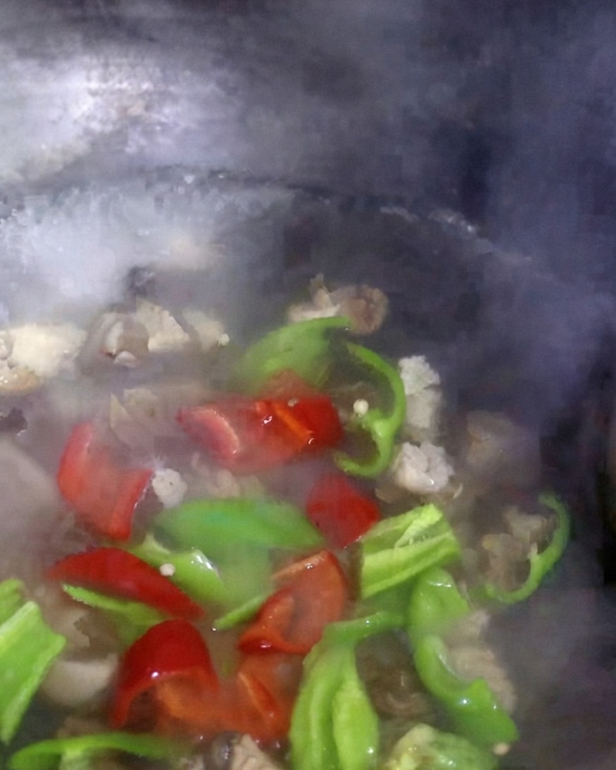 Pimientos rojos y verdes junto con bok choy cociéndose a fuego lento en agua hirviendo con setas.
