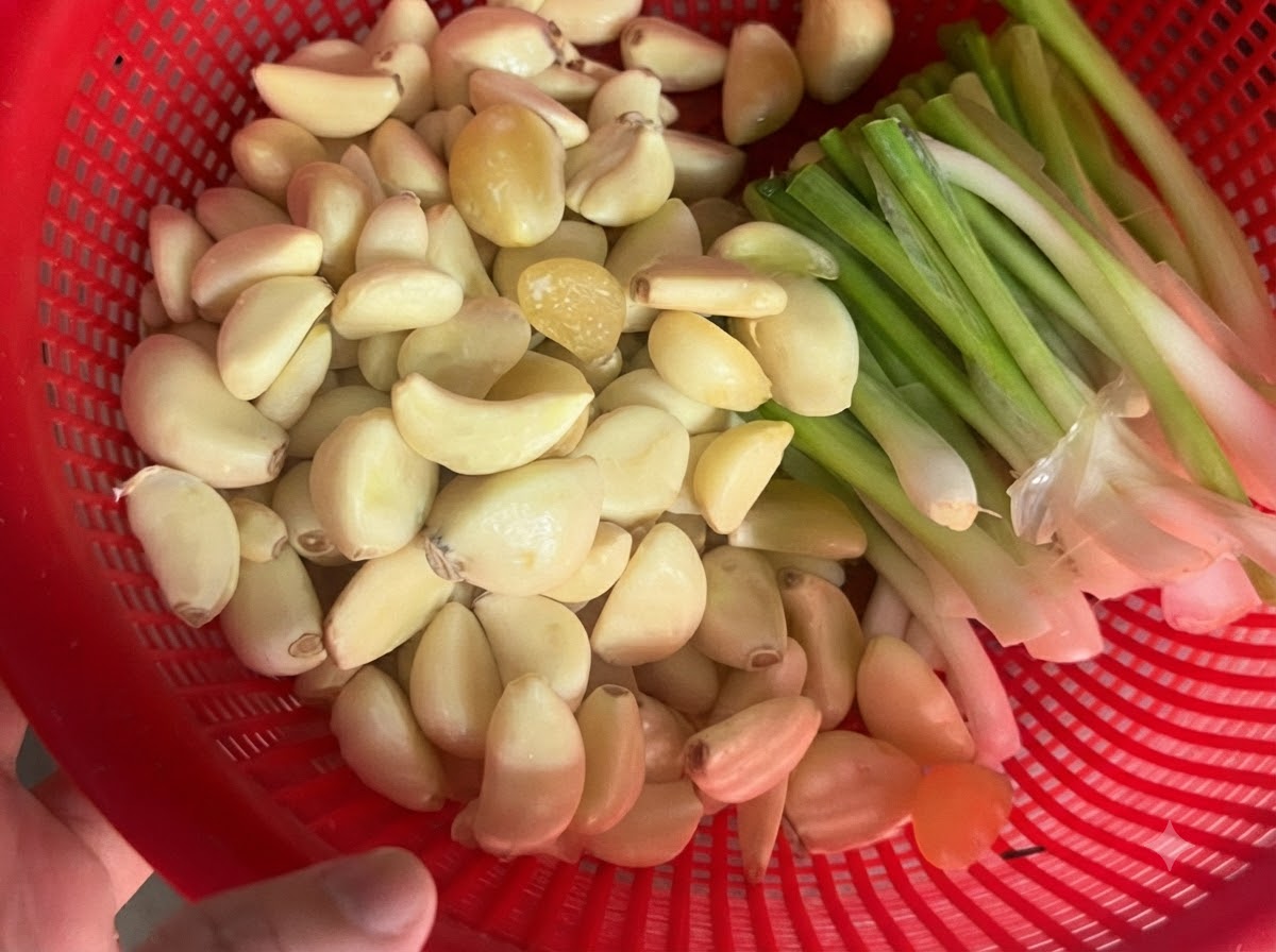 Un colador rojo lleno de dientes de ajo recién pelados y cebollas verdes.